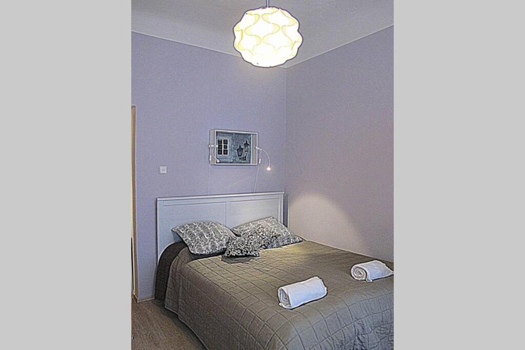 Romantic Apartment In The Historic Center 布拉格 外观 照片